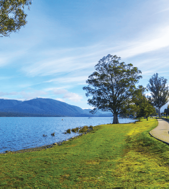 Lake Te Anau shore with large Eucalyptus trees lining foreshore